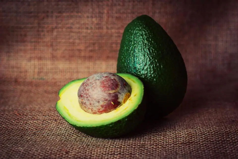 Avokado